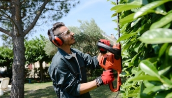 Garden Maintenance