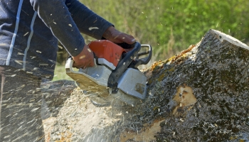 Stump Removal